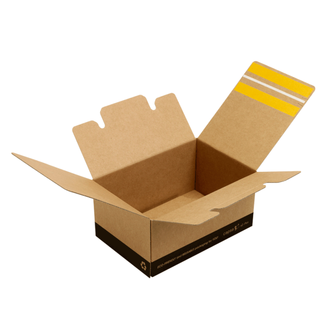 Capsa 2in1® eZ-Plus fast-assembly cardboard boxes for shipping
